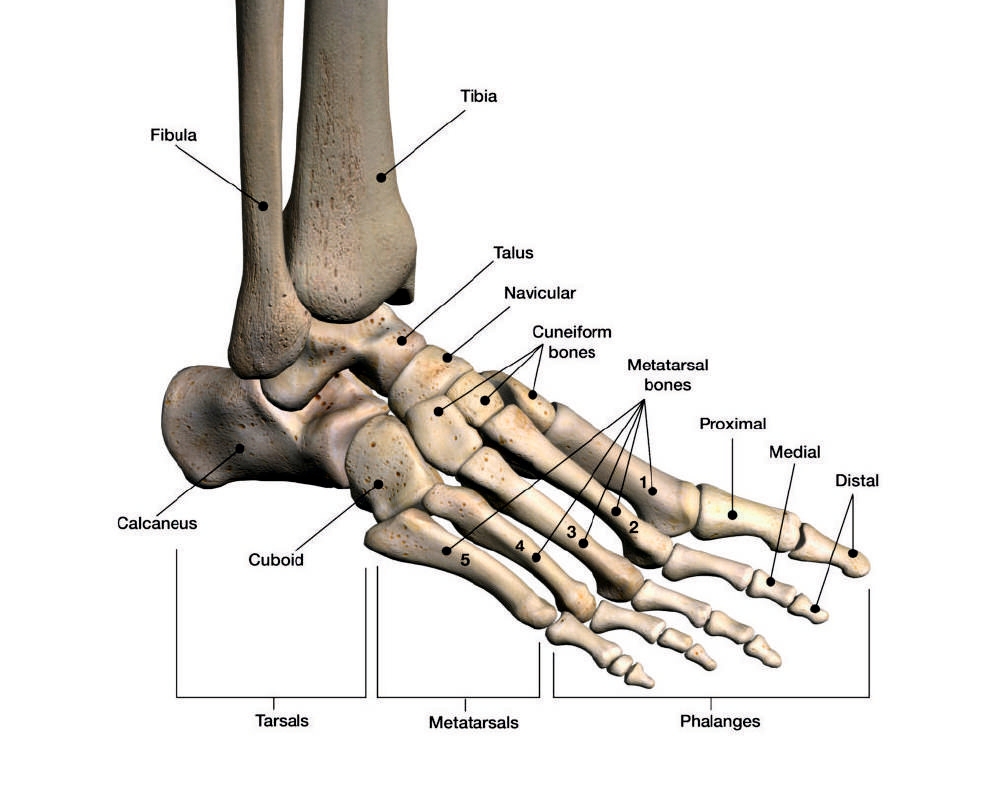 VA FOOT FUSION IMPLANT & INSTRUMENT