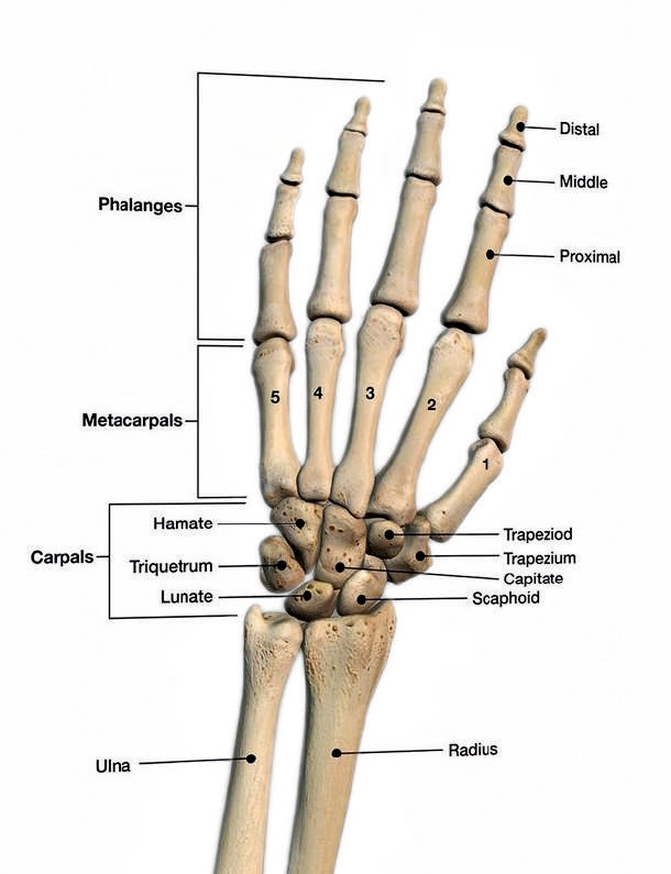 FOOT & HAND IMPLANT & INSTRUMENT