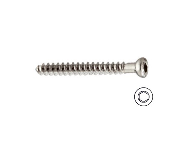 Cancellous Screw 4.0 MM x Fully Thread (HEX) 